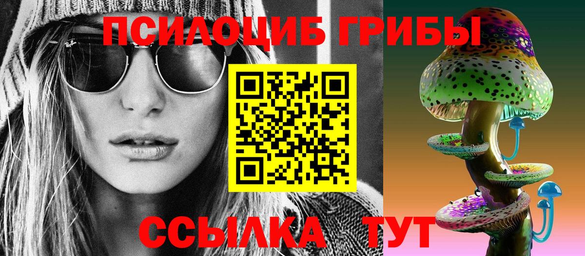 Псилоцибиновые грибы прущие грибы Кингисепп