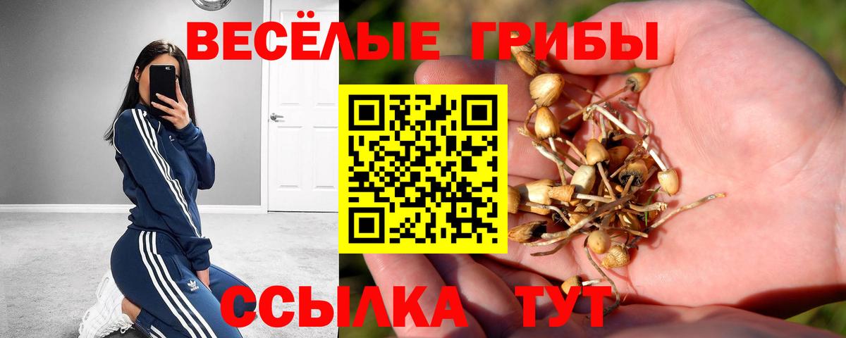 Галлюциногенные грибы Cubensis  Вход с VPN  Кингисепп  Псилоцибиновые грибы Magic Shrooms 